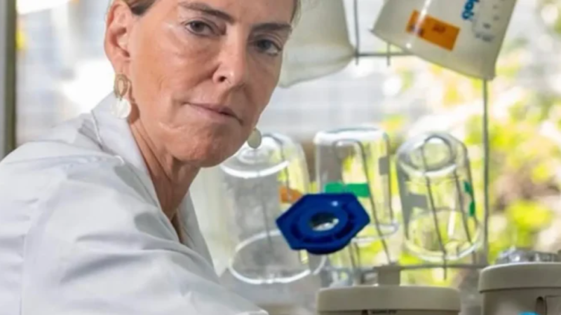 Mulheres Brasileiras na Fronteira da Ciência: Tatiana Coelho de Sampaio e a Esperança Renovada