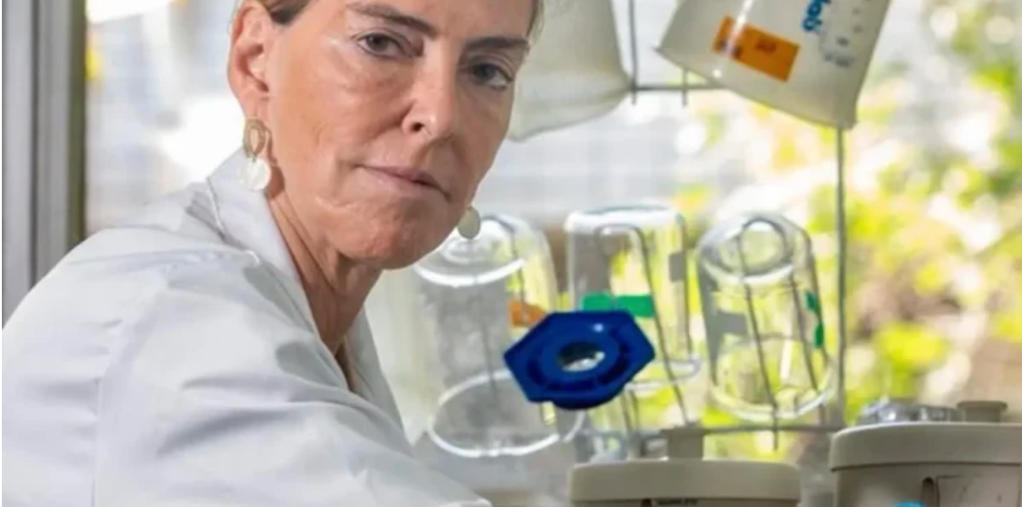 Mulheres Brasileiras na Fronteira da Ciência: Tatiana Coelho de Sampaio e a Esperança Renovada